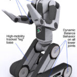 bear_military_robot
