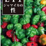 lt1_japanese_cover_jamaica