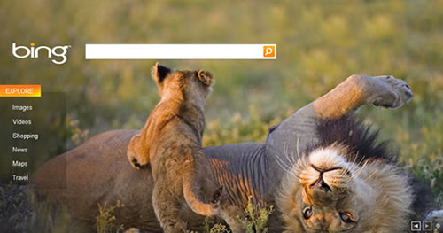 bing-screenshot bing-screenshot
