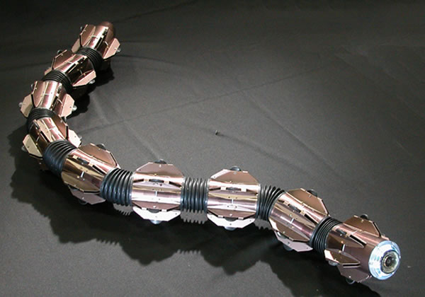acm-r5-robot-snake