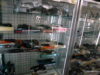 akihabara-photos-42