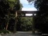 meiji-shrine-tokyo-4
