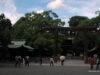 meiji-shrine-tokyo-5