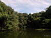 meiji-shrine-tokyo-8