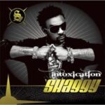 shaggy-intoxication-2007