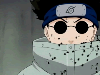shino